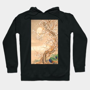 Japanese plum blossoms in moonlight Hoodie